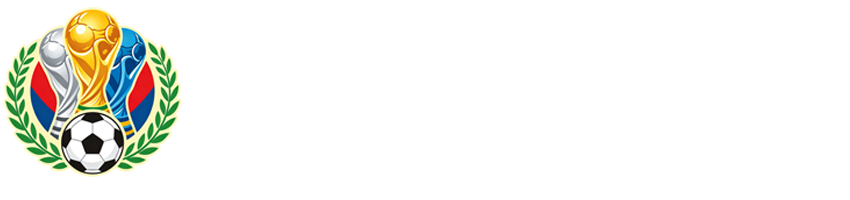 巴西队直播
